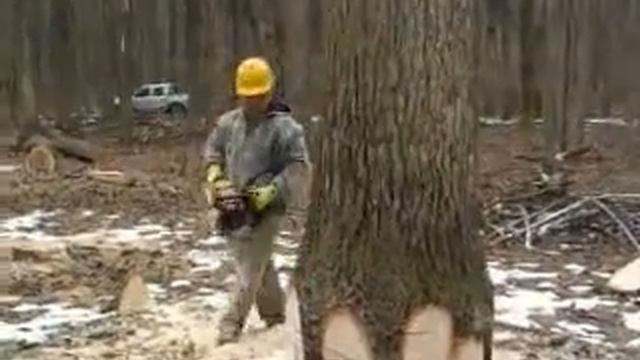 Itt kezdődik,de itt még nincs vége...ROBI...VIKTOR..ez is egy nap volt смотреть онлайн