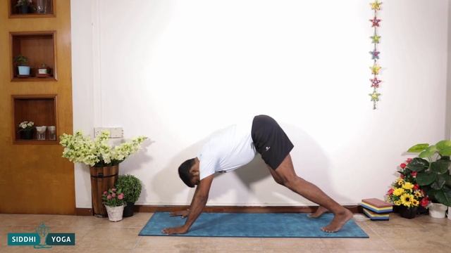 Camatkarasana (Flip Dog or Wild Thing Pose) Benefits, How to Do by Yogi Ritesh- Siddhi Yoga смотреть онлайн