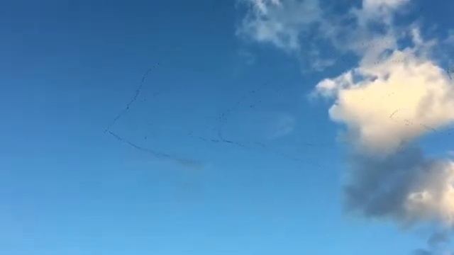 Гуси-лебеди смотреть онлайн