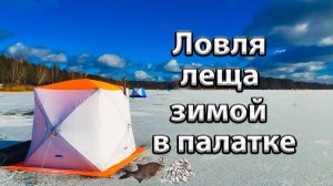 Ловля леща зимой в палатке.