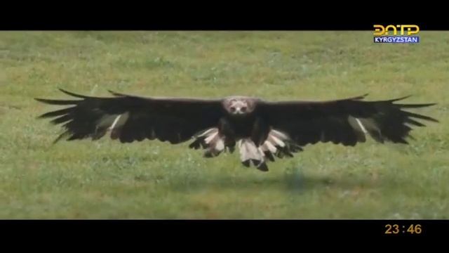 Уход на профилактику канала Эл ТР (Кыргызстан). 06.02.2023 смотреть онлайн