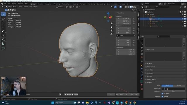 Remesh in Blender Part 2 смотреть онлайн