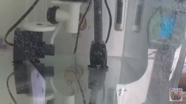 Запуск маленького морского аквариума часть 1 смотреть онлайн