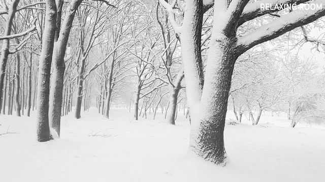 Blizzard Sounds for Sleep Relaxing Wind Sounds Winter Atmosphere смотреть онлайн