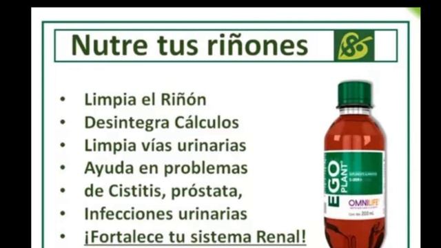 EGO PLANT de OMNILIFE con extractos herbales NUTRE TUS RIÑONES // Beneficios // CLAUDIA AGUDELO смотреть онлайн