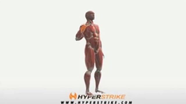Bodybuilding Übungen- Back Scratch - www.Hilfe-Forum.eu смотреть онлайн