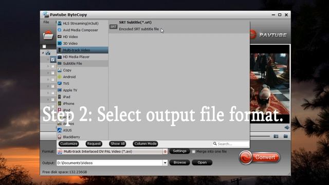 3 Ways to Free Extract DVD subtitles to SRT смотреть онлайн