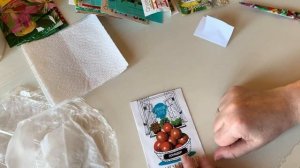 Здравствуй, Весна! Замачиваю семена в суспензии Хлореллы💃😍👍💋