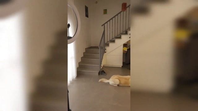 распаковка посылки смотреть онлайн