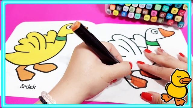 Раскраска Для Детей УТКА duck drawing#starkidsayka #duke #drawing #раскраска#duck смотреть онлайн