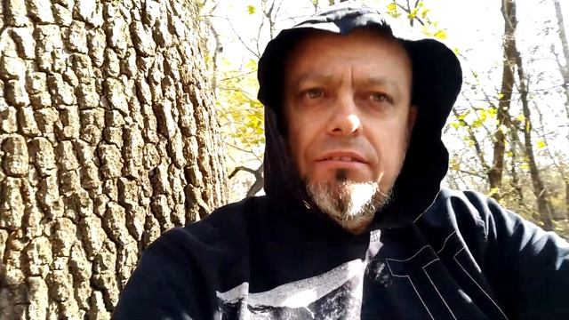 Заблудился лесу. смотреть онлайн