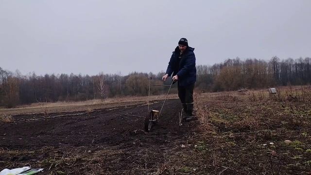 Посев зелени зимой.