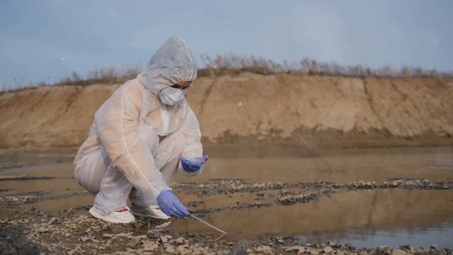 Sustainable Development смотреть онлайн