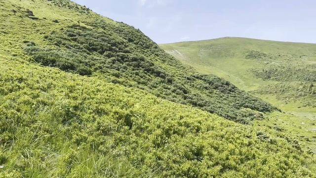 10.07-14.07 с. Кобилецька Поляна - с. Чона Тиса смотреть онлайн