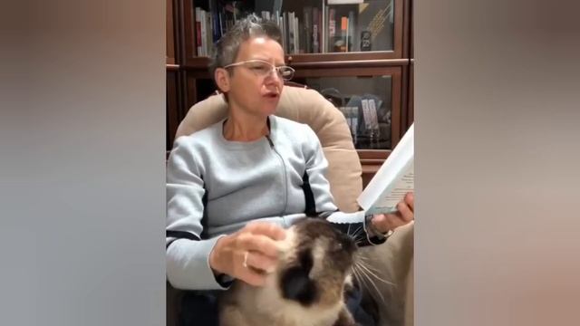 Света, Вертинский, Миша и другие