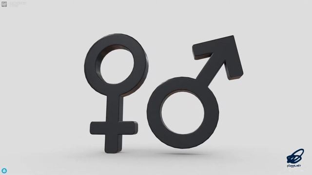 Gender Symbols - low poly PBR 3d model смотреть онлайн