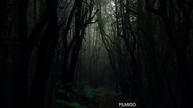 Beautiful relax music with Bach Toccata & Fugue in D Minor! For everyone! смотреть онлайн