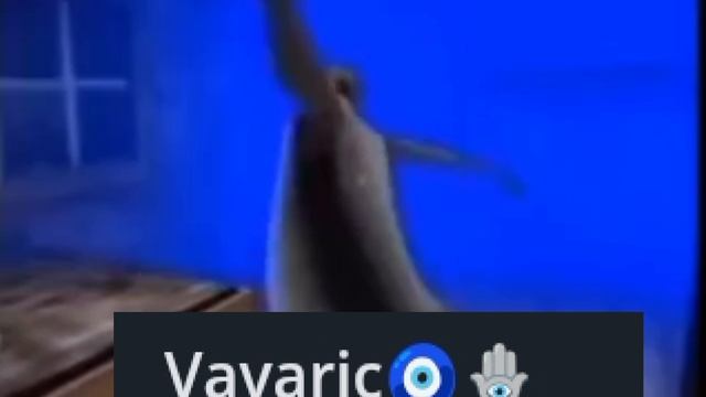 Ура нас уже 70 следующая цель 100!!! смотреть онлайн