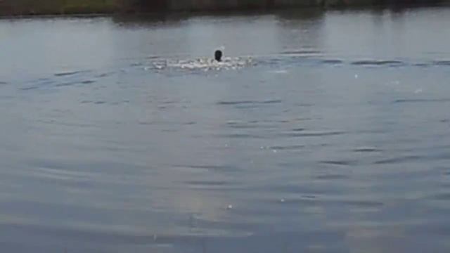 DSCN2775 смотреть онлайн