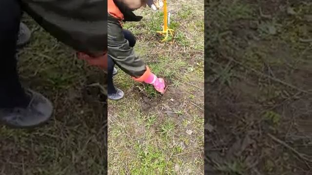 Копаю одуванчики смотреть онлайн