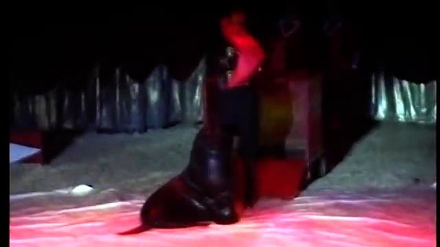 VTS 01 1 смотреть онлайн
