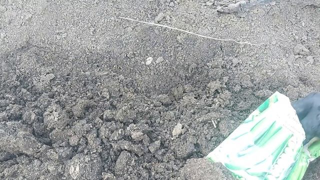 Cand si la ce distanta se seamana mazarea ? смотреть онлайн