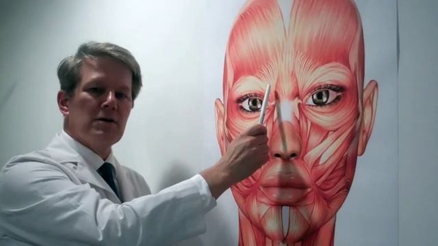 The Anatomy of Botox смотреть онлайн