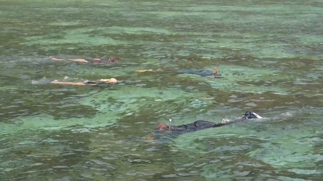 A Day Exploring Phi Phi With Phuket Sail Tours Thailand смотреть онлайн