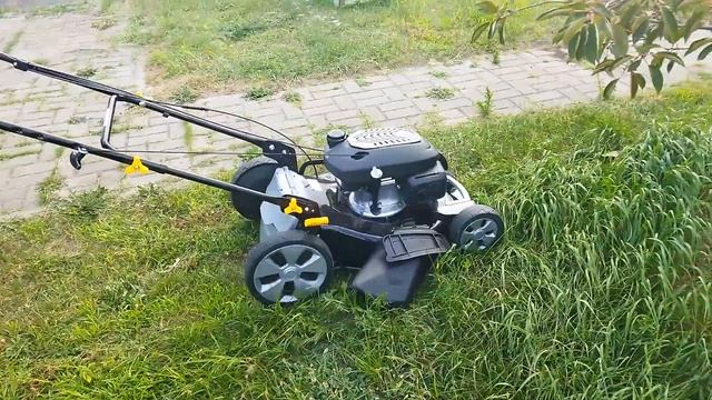 Газонокосилка ALPINA CP 534 бензиновая, самоходная бензиновая газонокосилка смотреть онлайн