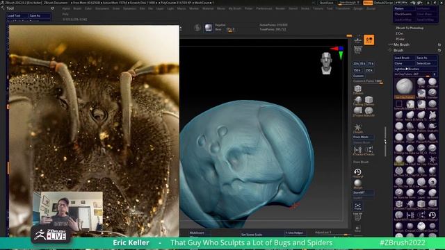 Nature, Animals, Biodiversity, & Science: Realistic Bee Sculpture - Eric Keller - ZBrush 2022 смотреть онлайн