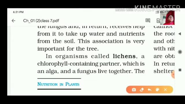 Class 7 science chapter 1 nutrition in plants in Hindi English смотреть онлайн