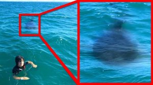 Если Вы Боитесь Моря, Не Смотрите Это Видео.