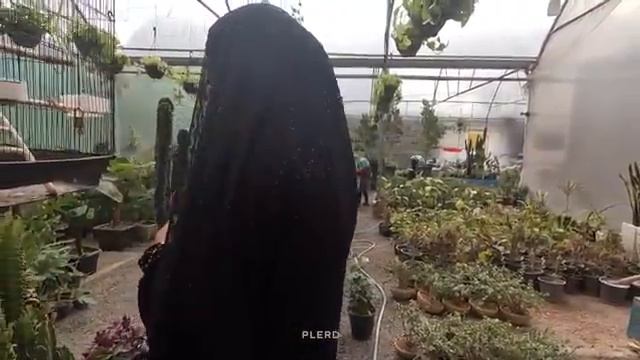 20.02.2024 Из города в деревню День радости матери-одиночки со Своими детьми смотреть онлайн