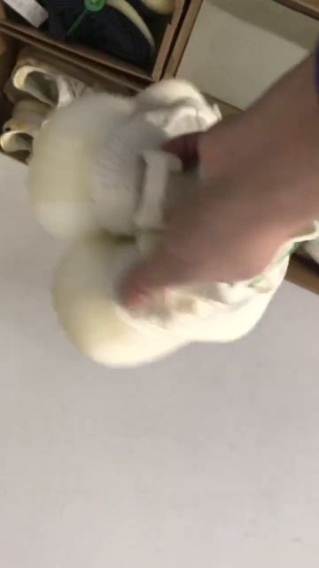 Adidas Yeezy Boost 350 V2 Bone Shoes