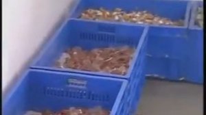 Как работать вилкой для потрошения тушек птицы