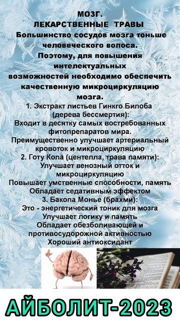 ЛЕКАРСТВЕННЫЕ ТРАВЫ ДЛЯ МОЗГА. смотреть онлайн