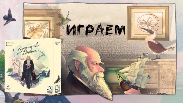 «Путешествие Дарвина» (Darwin's Journey) - Играем в настольную игру
