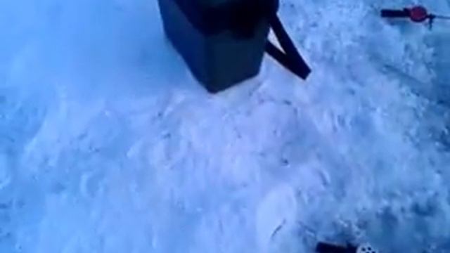 Танец рыбака с Литвы