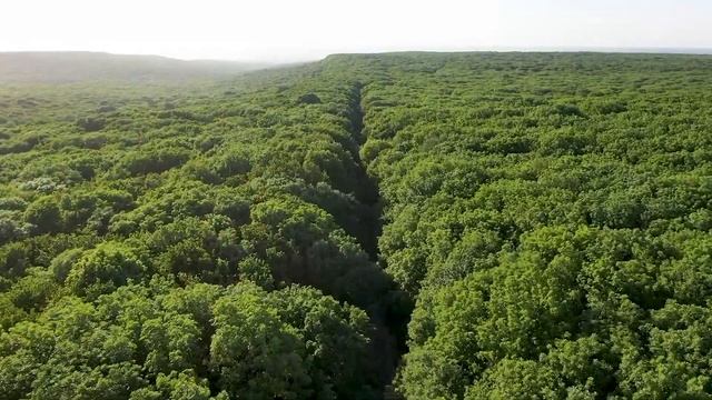 Лесная дорога смотреть онлайн