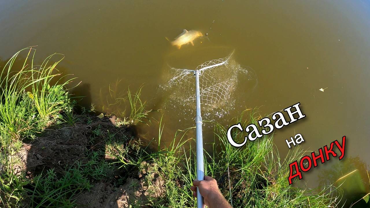 Отличная рыбалка, поймали сазанчика смотреть онлайн