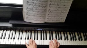 Утро в лесу - О. Геталова