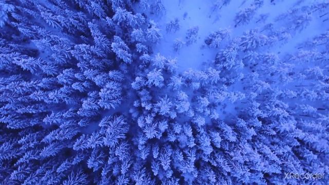 Сура Аль-Джасия
Чтец: Ахмед Хидр смотреть онлайн