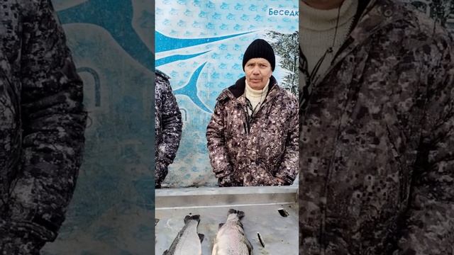 Небольшое интервью на взвешивание смотреть онлайн