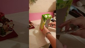 Кормушка для птиц из коробки для сока / Кормушка своими руками для детей