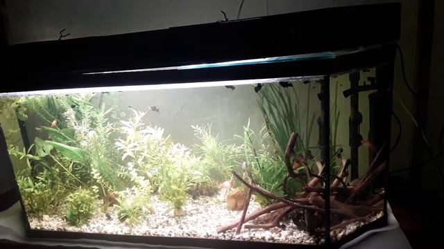 Запустил 200 литров;) смотреть онлайн