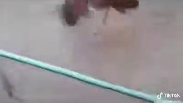 13 декабря 2020 г. смотреть онлайн