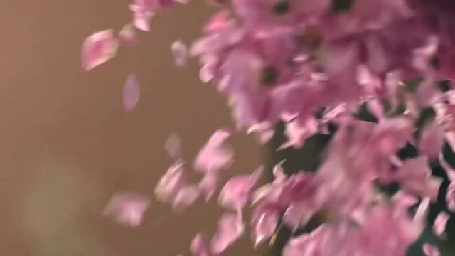 ROSENSE ROSE GARDENS смотреть онлайн