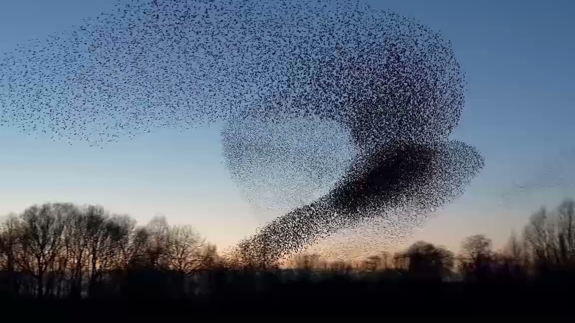 Amethystium- Calantha смотреть онлайн