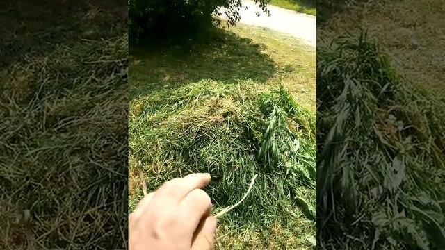 я закончил работу ждем оплаты онлайн😇но оплата блогер получил наличными оплату😅 смотреть онлайн