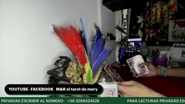 TAROCCHI||🔴Capricornio Mensajes De Tarot Inmortales Para La Sabiduria A Temporal Sinfechadecaducida